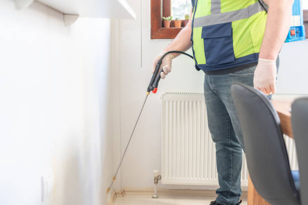 Best Affordable Pest Control Services  in Round Rock, TX