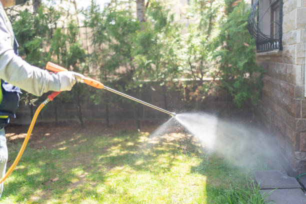 Best Flea Control Services  in Round Rock, TX