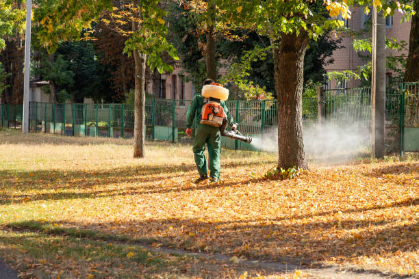 Best Best Pest Control Near Me  in Round Rock, TX
