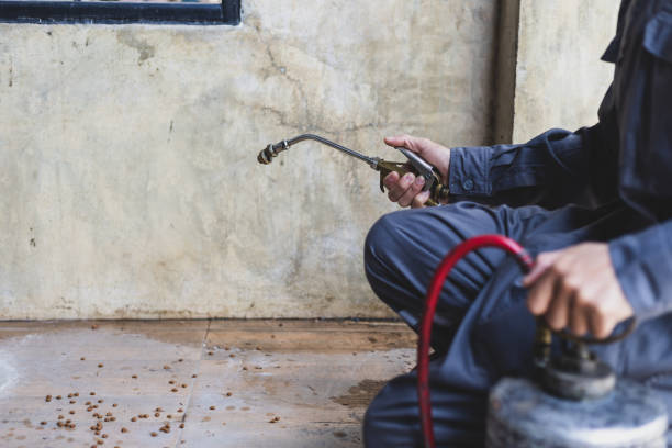 Best Pest Control Near Me  in Round Rock, TX